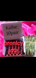 Pronicy kalbe half bundle